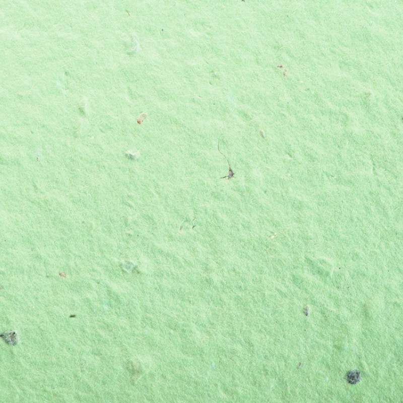 Живой блокнот с семенами цветов, А6, зеленое яблоко