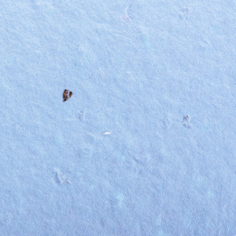 Живой блокнот с семенами цветов, А6, синий