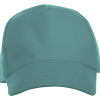 Бейсболка «Florida 350» 5-панельная, припылено-бирюзовый