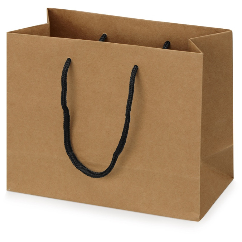 Пакет подарочный Kraft XS, 23x19x10 см Пакет подарочный Kraft XS, 23x19x10 см