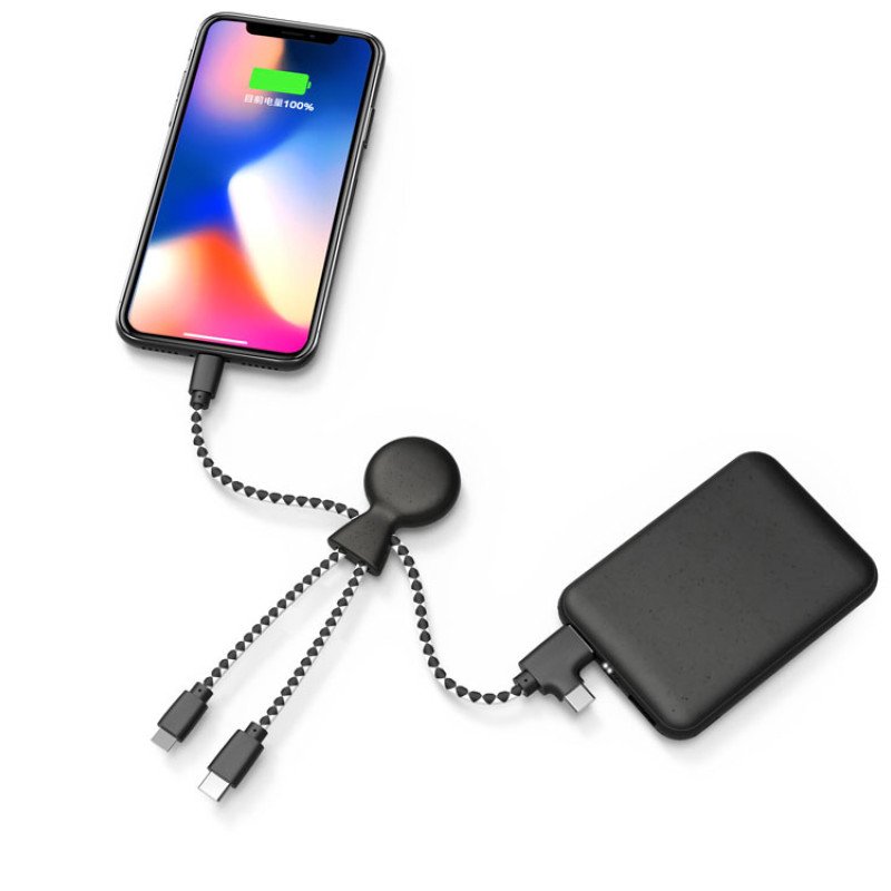 Портативное зарядное устройство "BioPack" c кабелем "Mr. Bio", 5000 mAh, черный