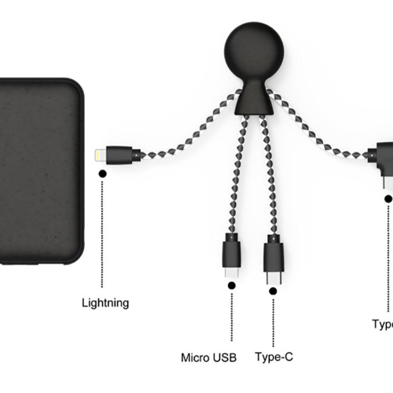 Портативное зарядное устройство "BioPack" c кабелем "Mr. Bio", 5000 mAh, черный