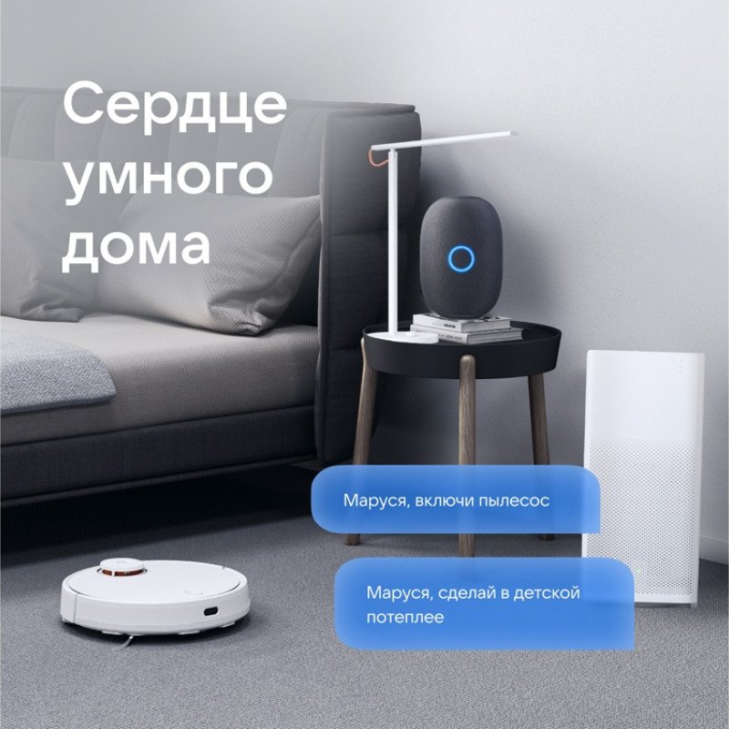 Умная колонка VK Капсула с голосовым помощником Марусей, черный