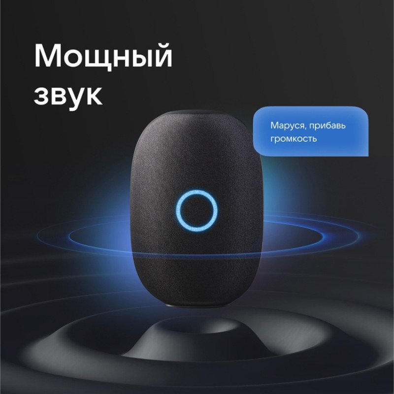 Умная колонка VK Капсула с голосовым помощником Марусей, черный