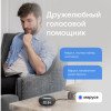 Умная колонка VK Капсула Мини с голосовым помощником Марусей, темный серый