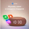 Умная колонка VK Капсула Мини с голосовым помощником Марусей, терракотовый