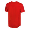 Мужская спортивная футболка Turin из комбинируемых материалов, красный