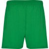 Спортивные шорты "Calcio" мужские, папоротниковый