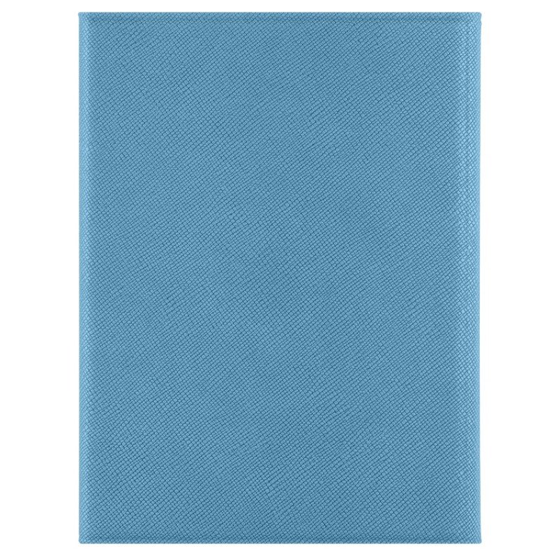 Обложка на магнитах для автодокументов и паспорта "Favor", голубая