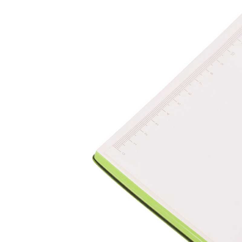 Бизнес-блокнот C1 софт-тач, гибкая обложка, 128 листов, зеленое яблоко