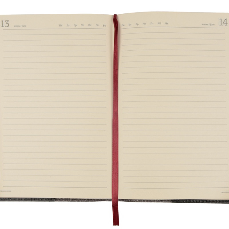 Ежедневник полудатированный портфолио А5  "PROFY" черный