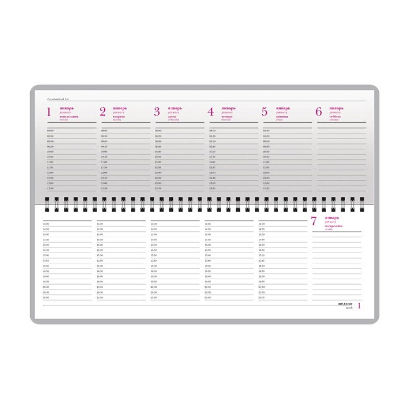 Планинг ГР. датированный «Sidney Nebraska» 2026, коричневый