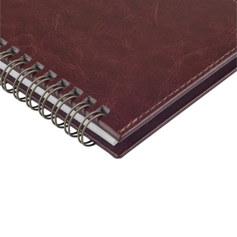 Планинг ГР. датированный «Sidney Nebraska» 2026, коричневый