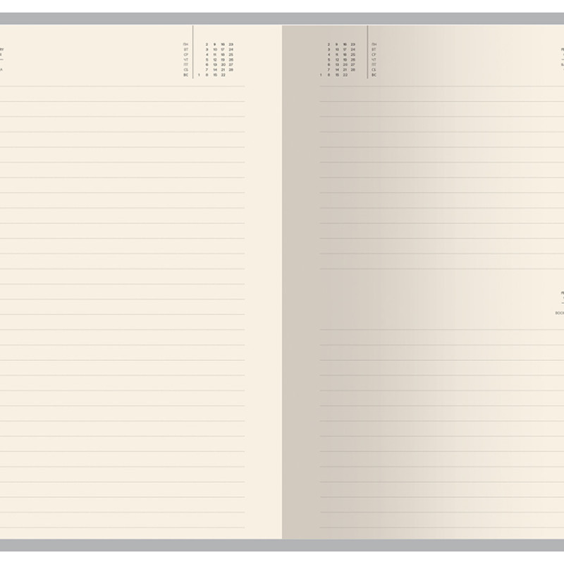 Ежедневник А5 датированный "Megapolis Color" 2026, серый