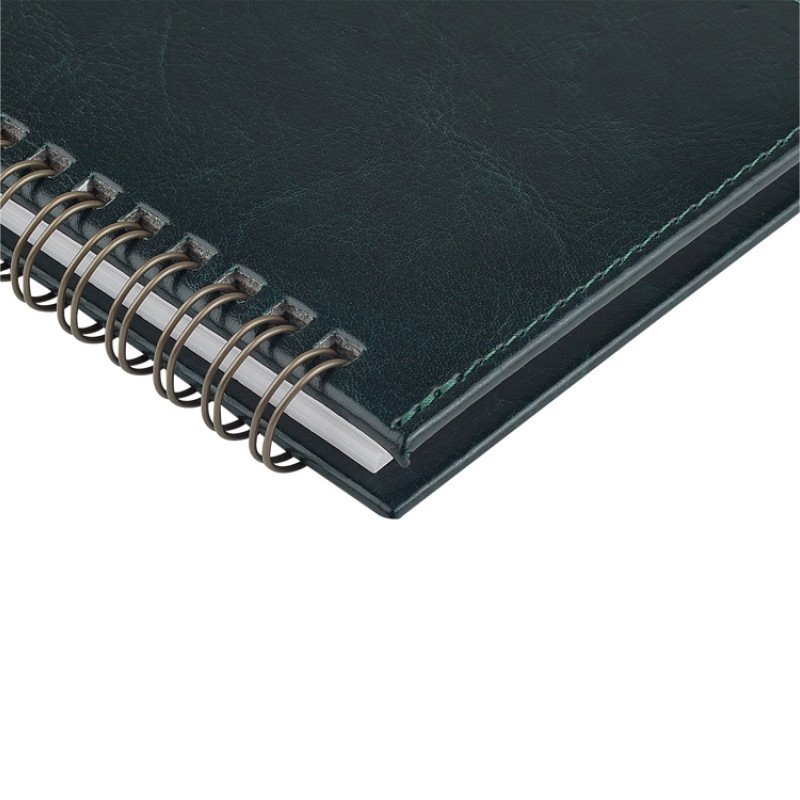 Планинг ГР. датированный «Sidney Nebraska» 2026, зеленый