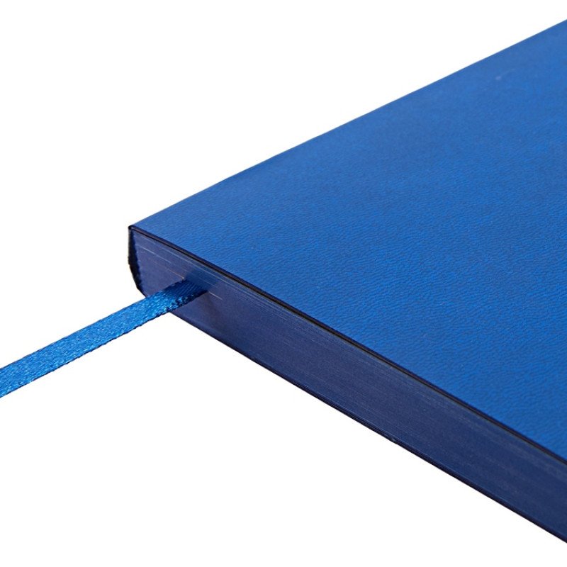 Ежедневник недатированный А5 "Megapolis Color Flex", синий