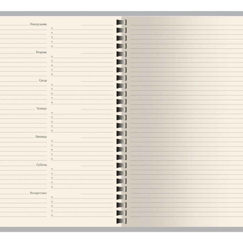 Еженедельник недатированный А5 «Concept», зеленый