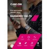 Умные часы CANYON Barberry SW-79, IP 67, BT 5.1, сенсорный дисплей 1.7, черный