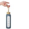 Бутылка из боросиликатного стекла "Hangy", 550 мл, антрацит Бутылка из боросиликатного стекла "Hangy", 550 мл, антрацит
