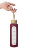 Бутылка из боросиликатного стекла "Hangy", 550 мл, бургунди
